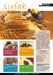 Pages de NL15 SYFAB Mail 002
