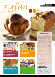cover revu